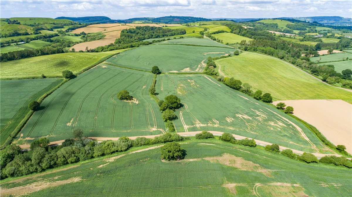 518 acres Farm, Dottery, Bridport DT6 - Sold STC