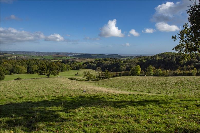 30.5 acres Land, Land At Mamhead Park, Mamhead EX6 - Sold STC