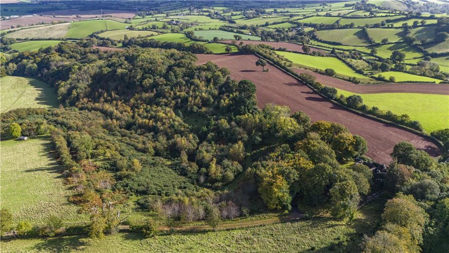 30.5 acres Land, Land At Mamhead Park, Mamhead EX6 - Sold STC