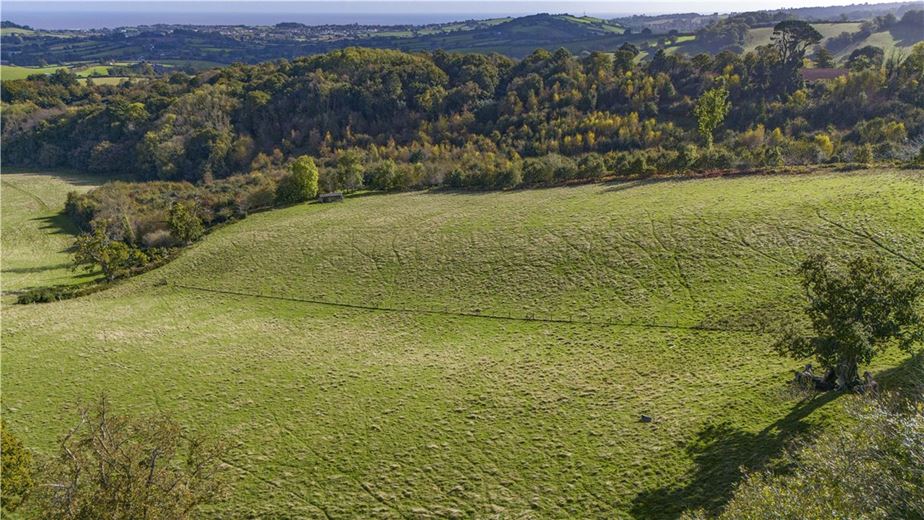 30.5 acres Land, Land At Mamhead Park, Mamhead EX6 - Sold STC
