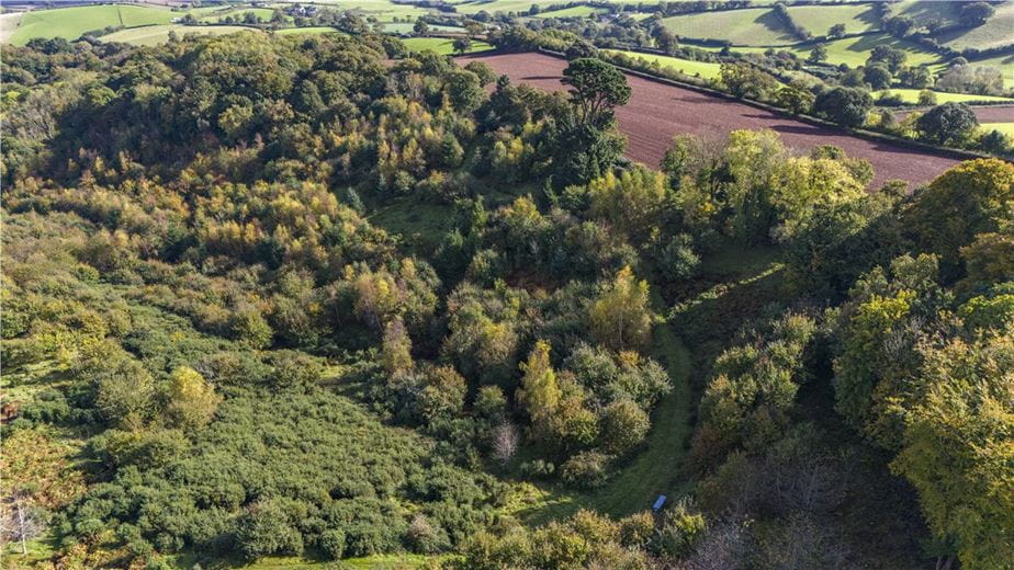 20.4 acres Land, Lot 2: Land At Mamhead Park, Mamhead EX6 - Sold STC