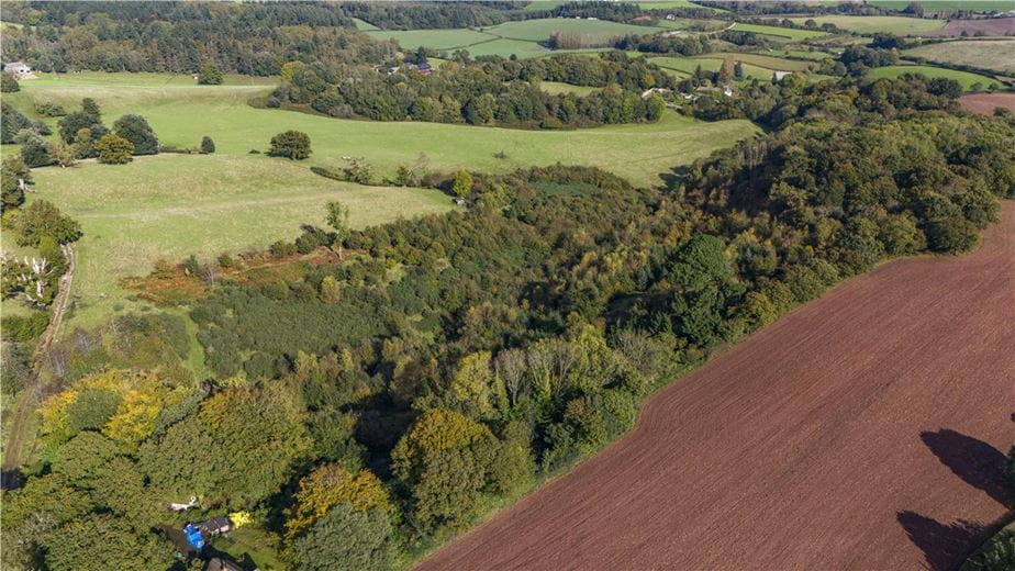 20.4 acres Land, Lot 2: Land At Mamhead Park, Mamhead EX6 - Sold STC