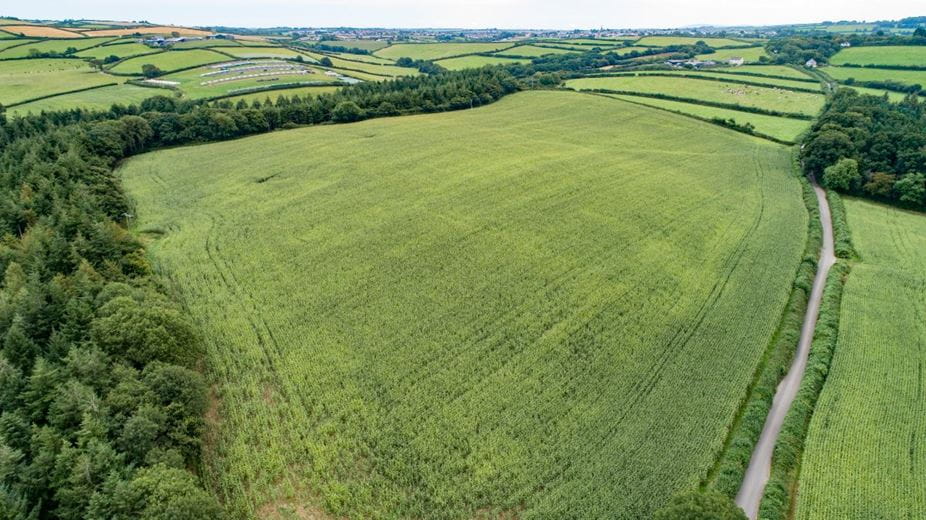 21.6 acres Land, Lot 3: Land To South Of Chope’s Bridge, Weare Giffard EX39 - Sold STC