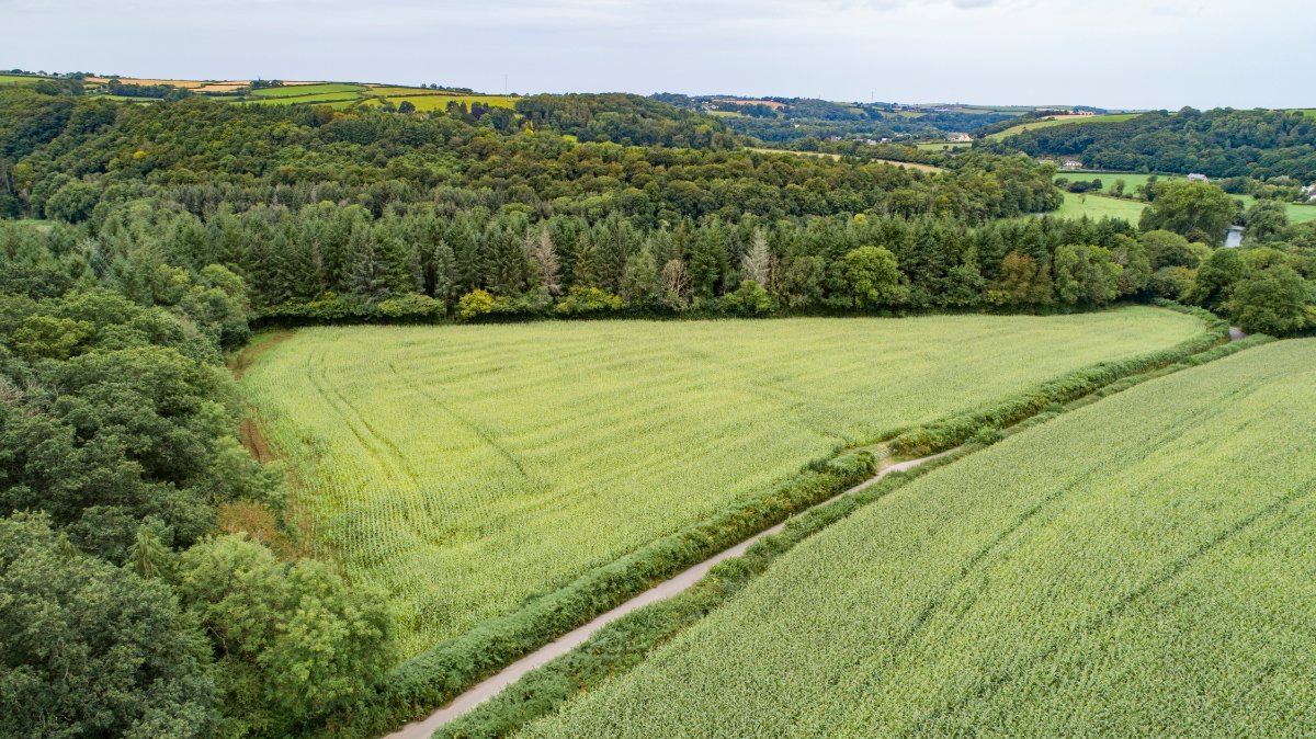 6.5 acres Land, Lot 4: Land To South Of Chope’s Bridge, Weare Giffard EX39 - Sold