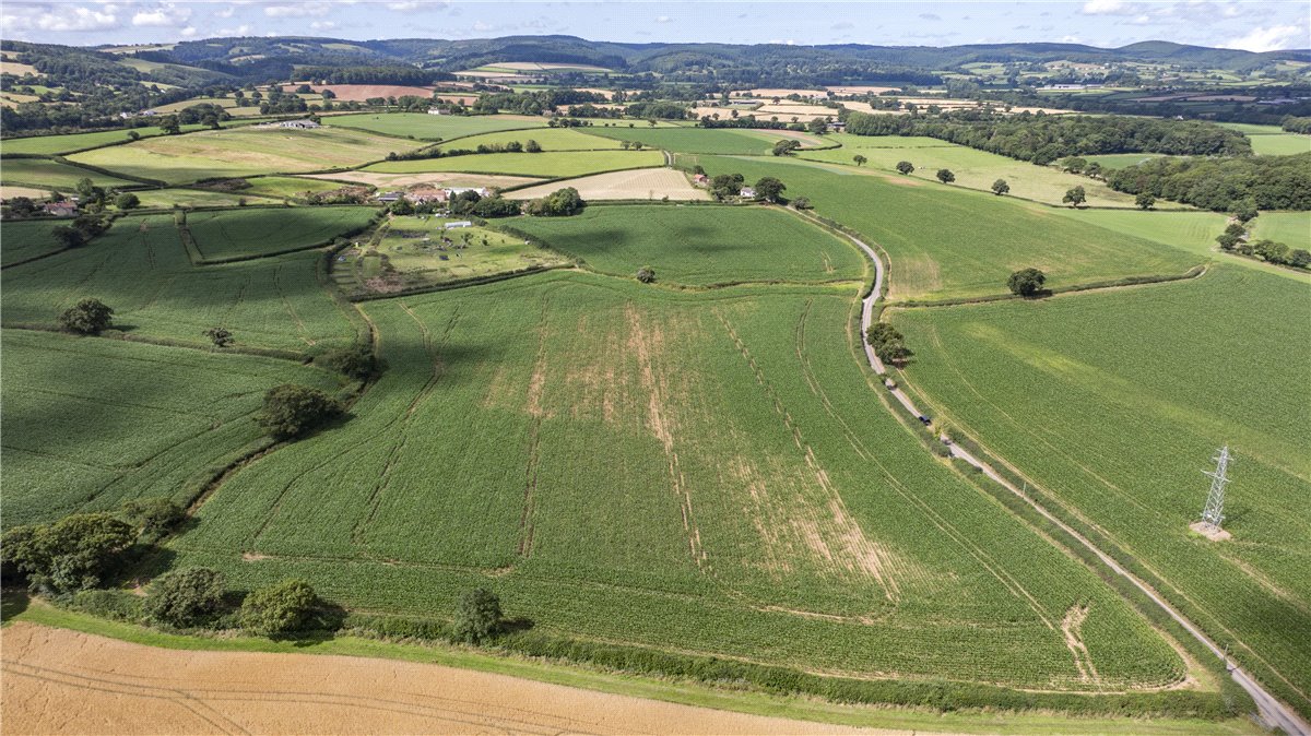 22.1 acres Land, Lot 1: Land At Splatt Lane, Spaxton TA5 - Sold