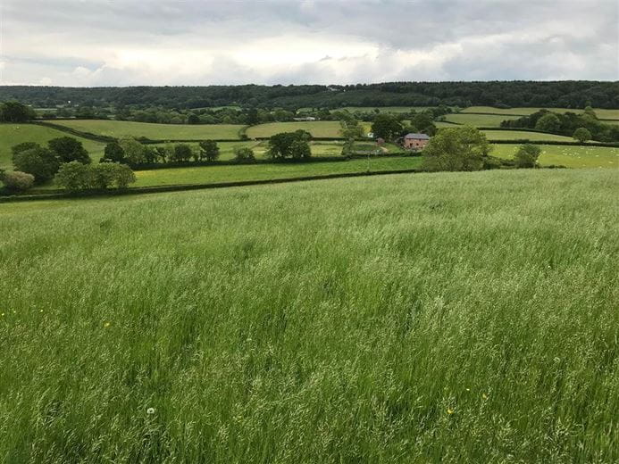 83.1 acres Land, Tipton St. John, Sidmouth EX10 - Under Offer