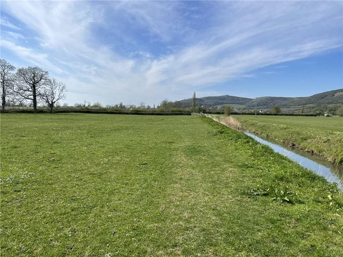 27.2 acres Land, Land At Compton Bishop Farm, Axbridge BS26 - Available