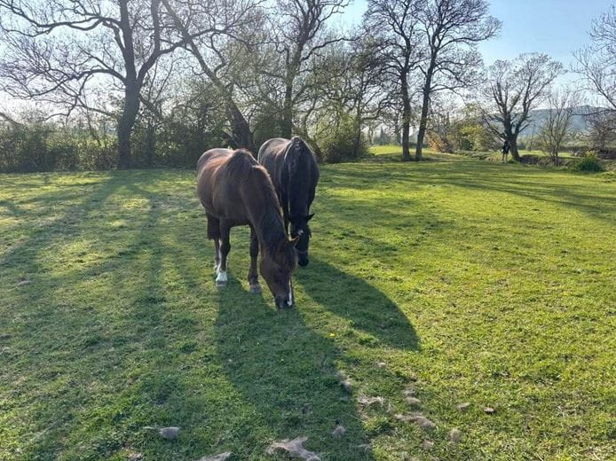 27.2 acres Land, Land At Compton Bishop Farm, Axbridge BS26 - Available