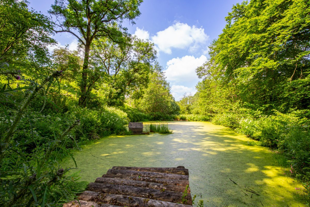 4 bedroom house, Cookbury Court, Cookbury EX22 - Available