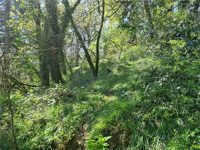 4 bedroom house, Cookbury Court, Cookbury EX22 - Available