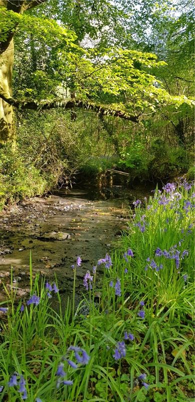 4 bedroom house, Cookbury, Holsworthy EX22 - Available