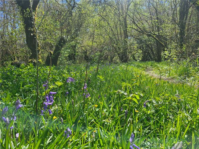 4 bedroom house, Cookbury, Holsworthy EX22 - Available