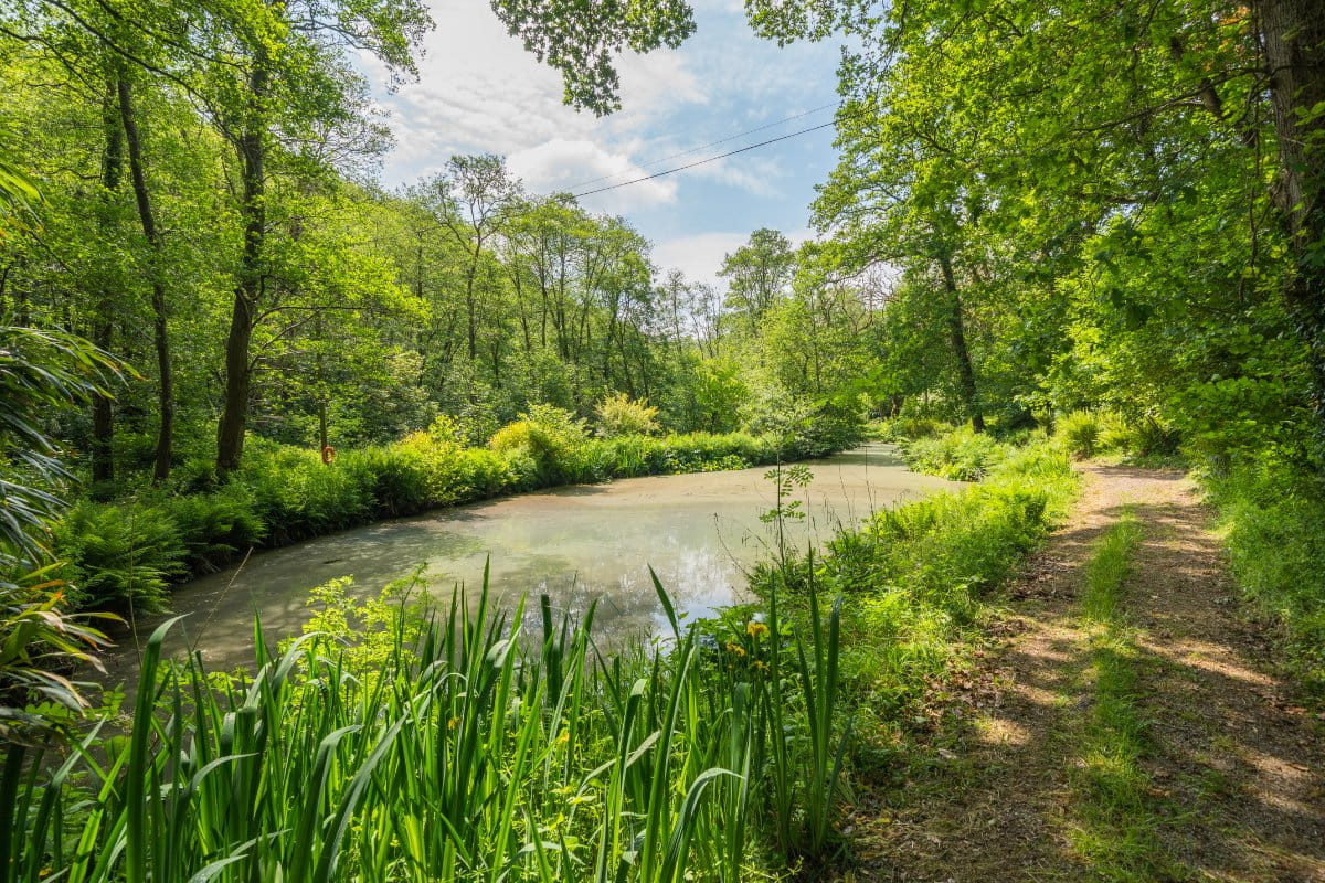 17.7 acres Country Estate, Muddiford, Barnstaple EX31 - Available