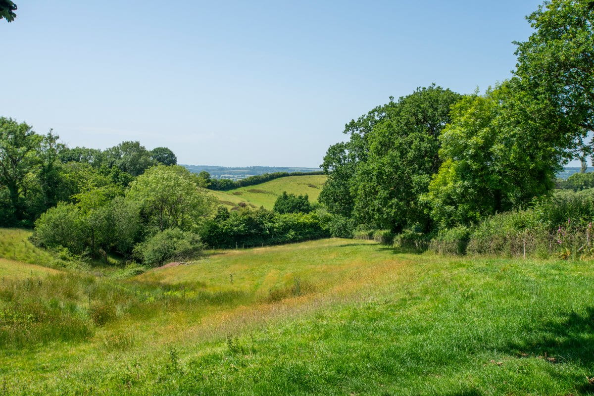 36.9 acres House, East Hill, Ottery St. Mary EX11 - Sold STC