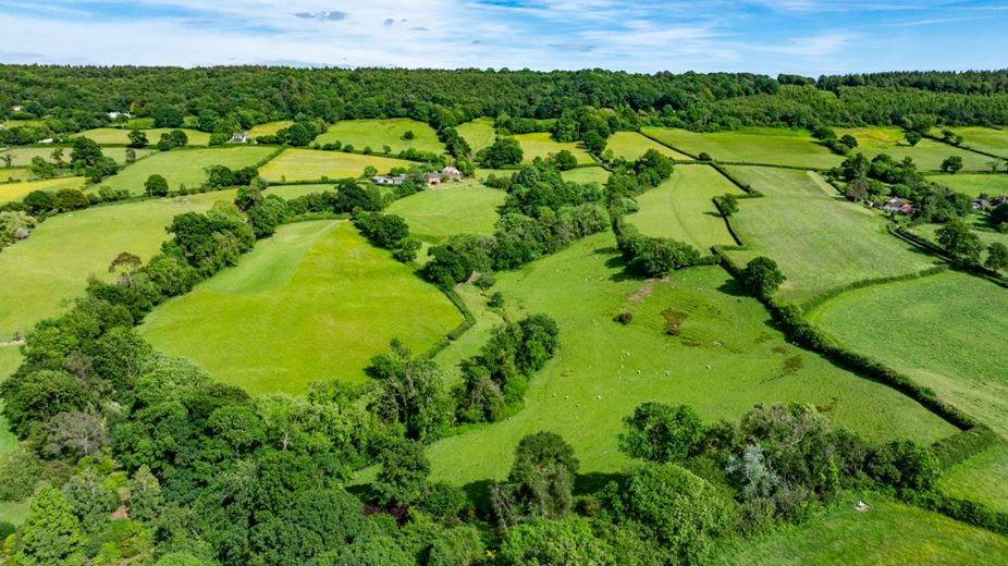 16.3 acres Land, East Hill, Ottery St. Mary EX11 - Available