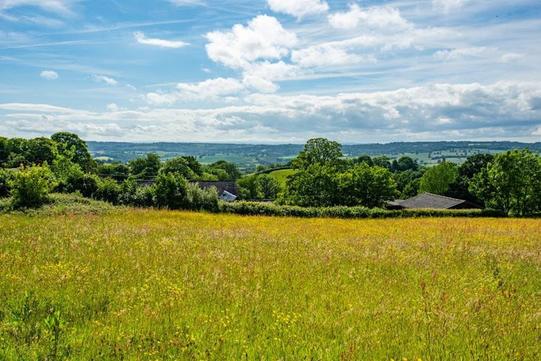 4.3 acres Land, East Hill, Ottery St. Mary EX11 - Available