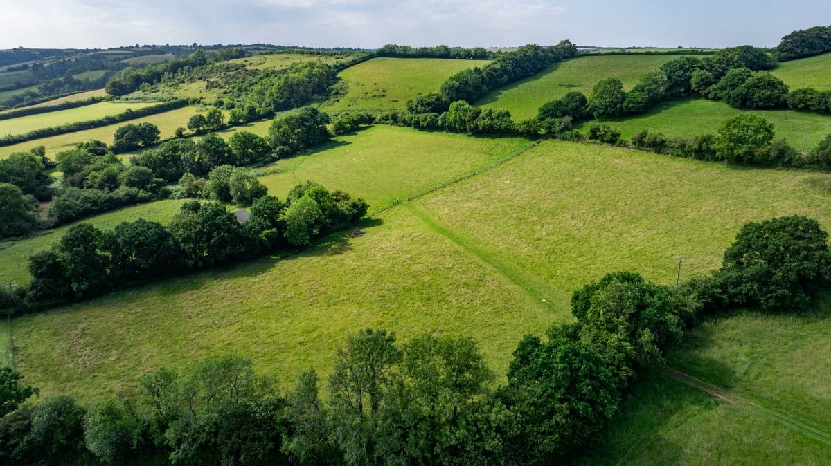 52.7 acres Land, Land At Shillingford, Tiverton EX16 - Sold STC