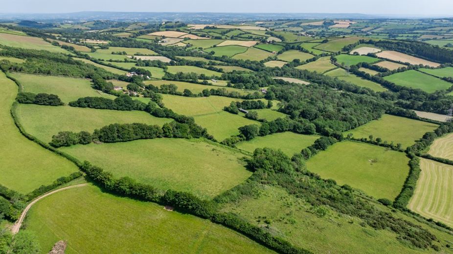 52.7 acres Land, Land At Shillingford, Tiverton EX16 - Available