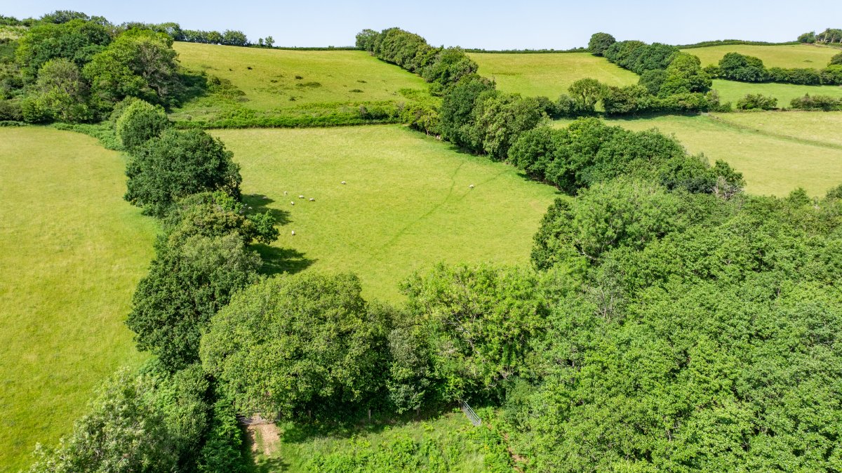 52.7 acres Land, Land At Shillingford, Tiverton EX16 - Sold STC