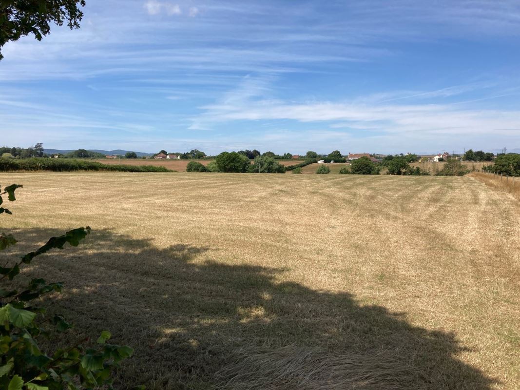 2.8 acres Land, Lot 1: Land At Goathurst, Goathurst TA5 - Sold