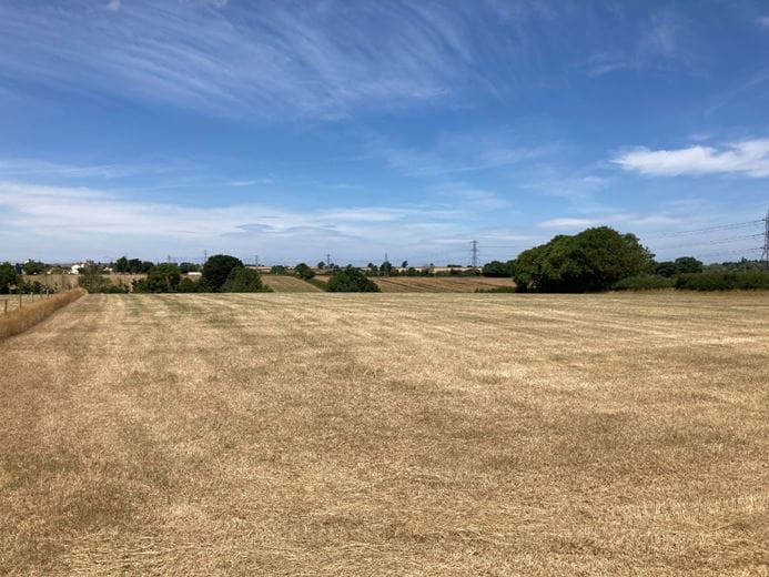 3.1 acres Land, Lot 2: Land At Goathurst, Goathurst TA5 - Available