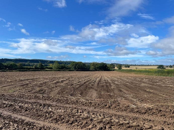 84.1 acres Land, Lopen, South Petherton TA13 - Available