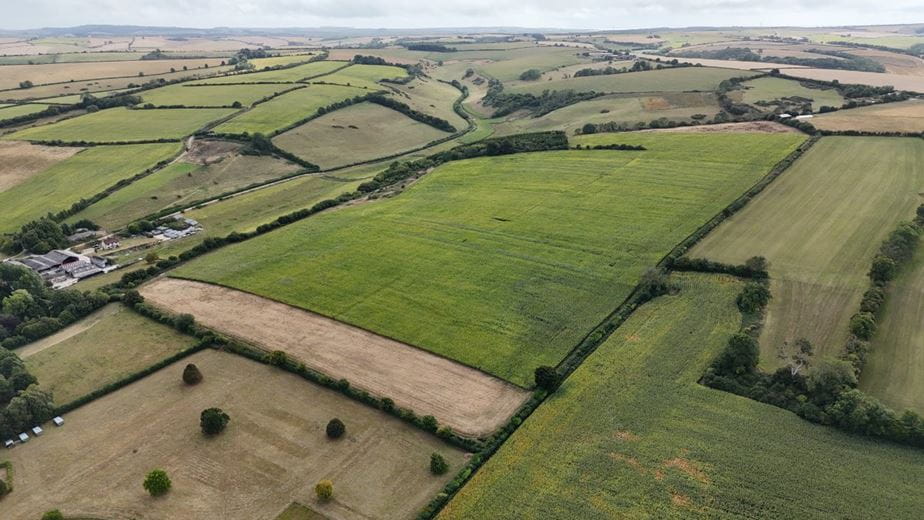46.4 acres Land, Lot 3: Land At Cruxton Manor Farm, Cruxton DT2 - Available