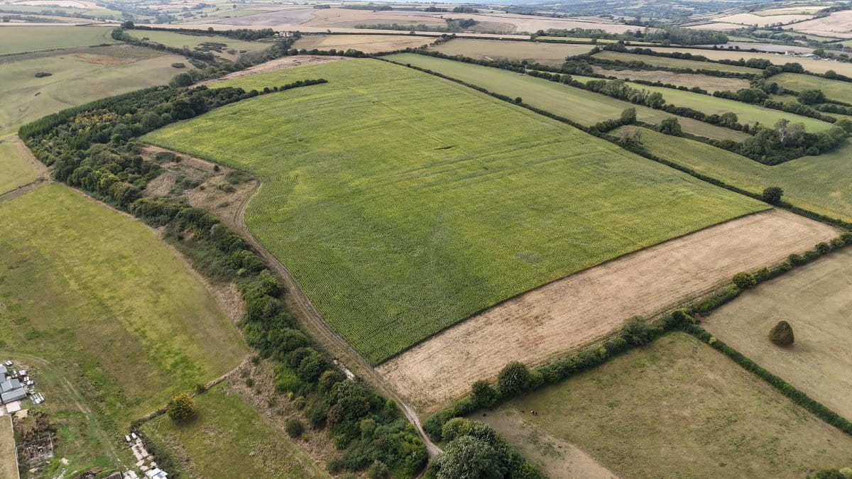 46.4 acres Land, Lot 3: Land At Cruxton Manor Farm, Cruxton DT2 - Available