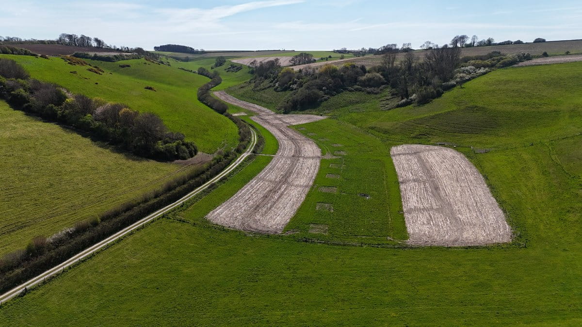 74.3 acres Land, Lot 4: Land At Cruxton Manor Farm, Cruxton DT2 - Available