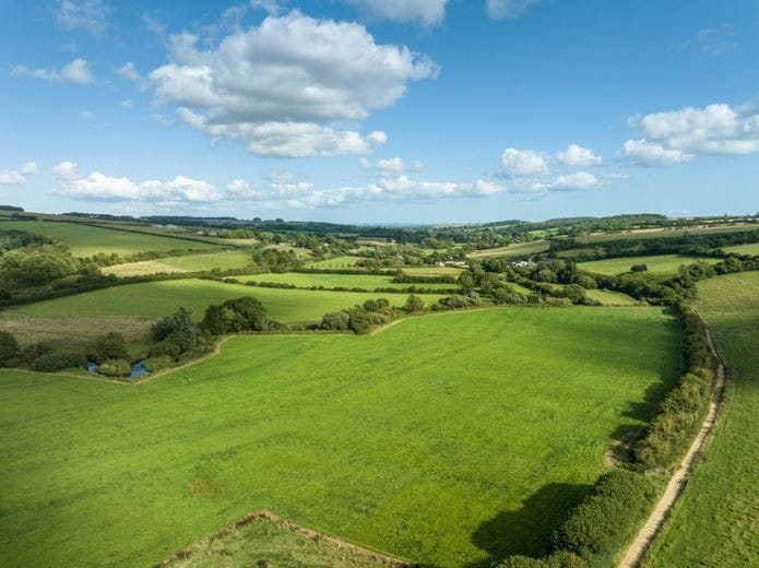 11.2 acres Land, Lot 6: Land At Cruxton Manor Farm, Cruxton DT2 - Available