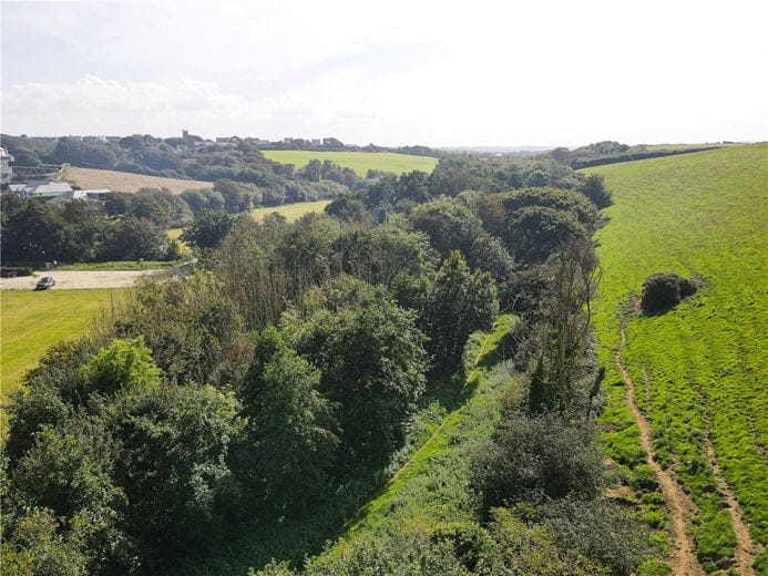 16.2 acres Land, Hele Valley Woodland (Lot 1), EX23 - Available