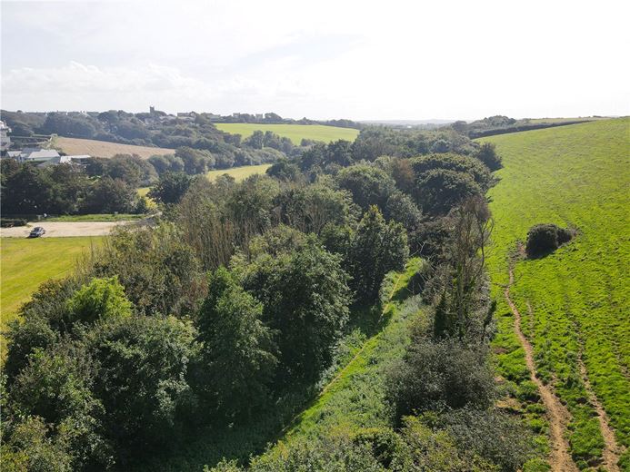 16.2 acres Land, Marhamchurch, EX23 - Available