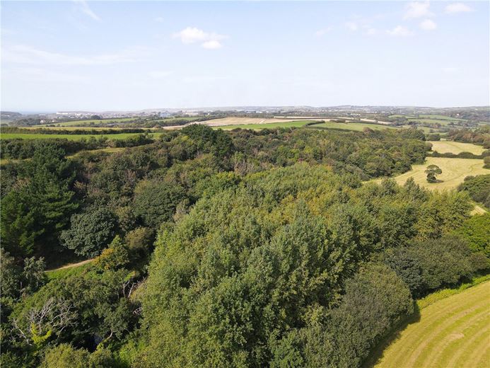 16.2 acres Land, Marhamchurch, EX23 - Sold