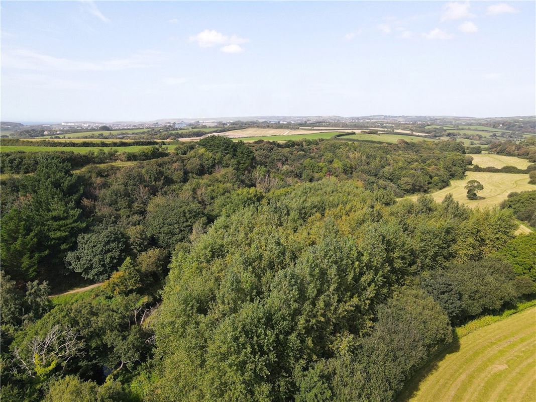 16.2 acres Land, Marhamchurch, EX23 - Sold
