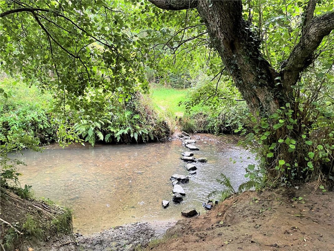 16.2 acres Land, Marhamchurch, EX23 - Sold