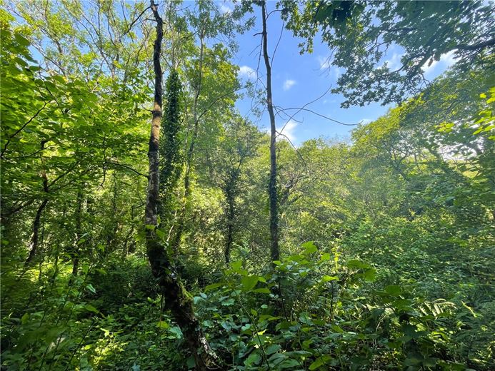 19.4 acres Land, Morwenstow, Bude EX23 - Sold