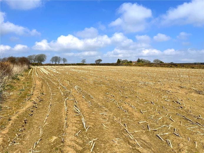 21.3 acres Land, Manhay, Helston TR13 - Under Offer