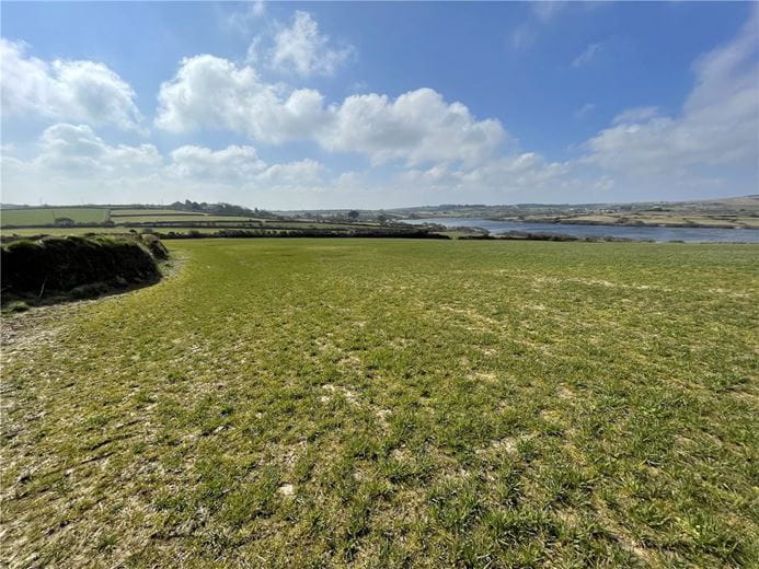 236.1 acres Land, Menerdue Lane, Carnmenellis TR16 - Available