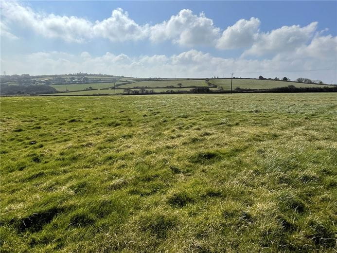 236.1 acres Land, Menerdue Lane, Carnmenellis TR16 - Available
