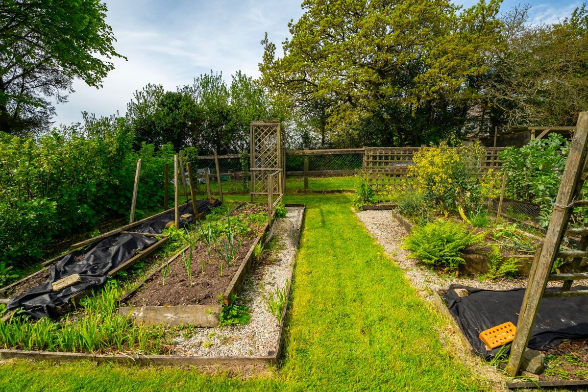 5.9 acres Farm, Pulla Cross, Truro TR4 - Sold STC