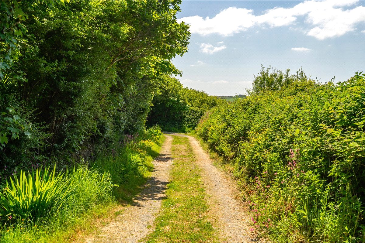 9.7 acres House, Woodford, Bude EX23 - Available