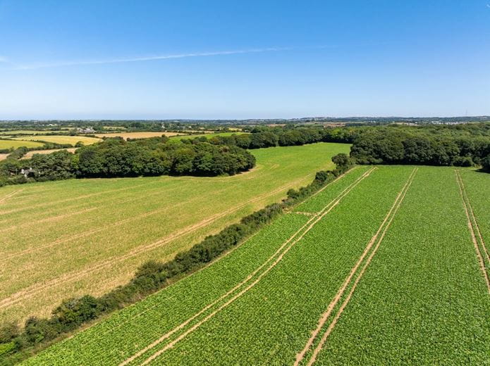 198 acres Land, Praze, Camborne TR14 - Available