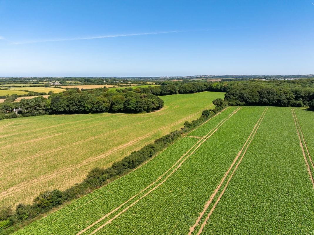 198 acres Land, Praze, Camborne TR14 - Sold