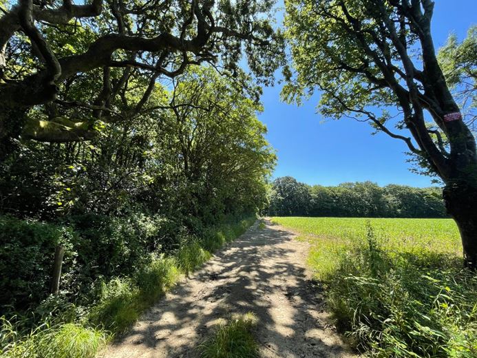 41.7 acres Land, Praze, Camborne TR14 - Sold