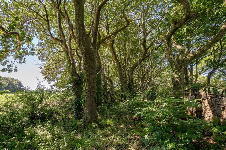 41.7 acres Land, Praze, Camborne TR14 - Available