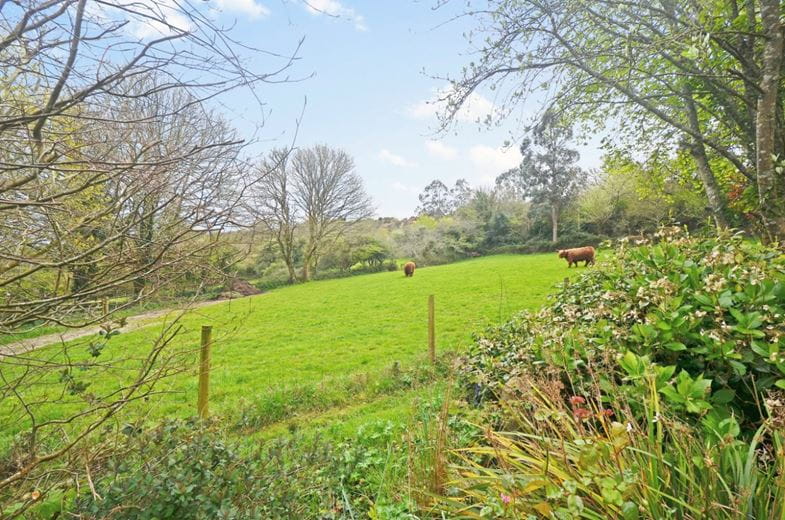 6.8 acres Farm, Hale Mills, Twelveheads TR4 - Available