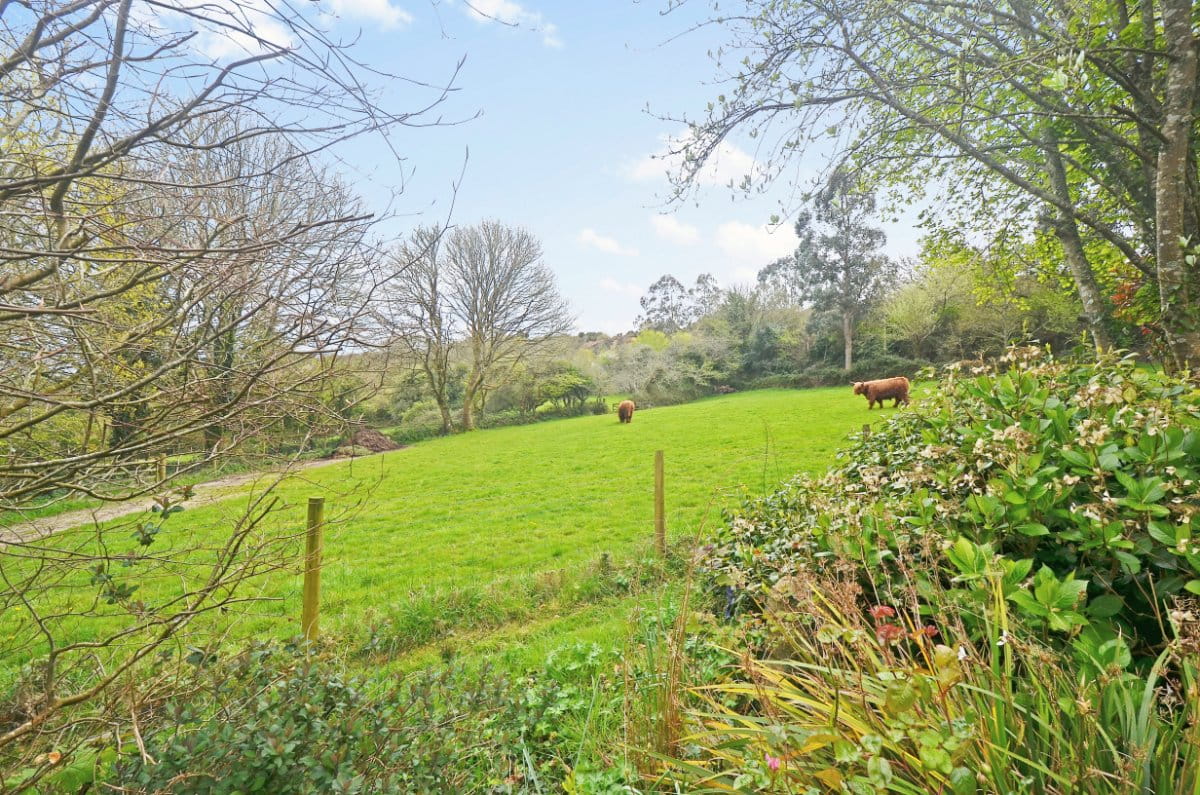 3.2 acres Farm, Hale Mills, Twelveheads TR4 - Available