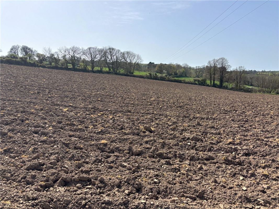 10 acres Land, Land At Tredinnick Wartha, St. Keverne TR12 - Available