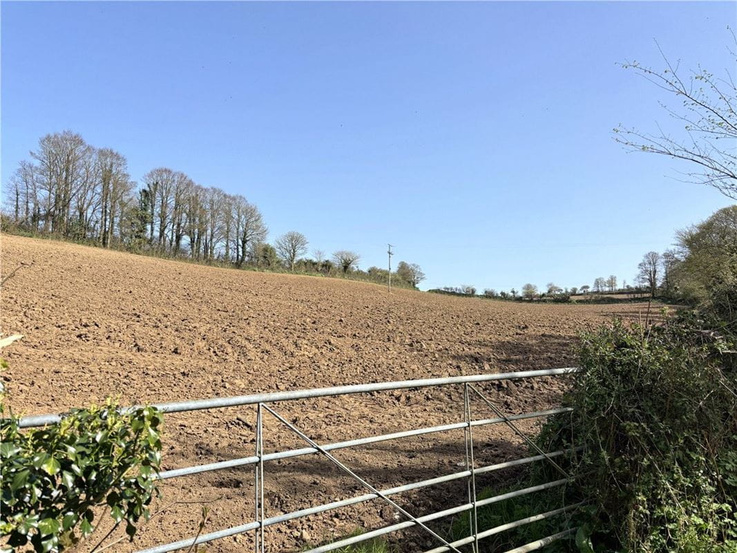 12 acres Land, Land At Tredinnick Wartha, St. Keverne TR12 - Available
