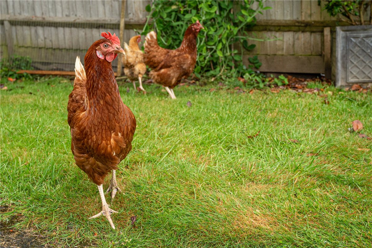 4 bedroom house, North Houghton, Stockbridge SO20 - Sold